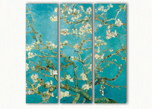 Amandelbloesem - Akoestisch Drieluik - NoviSono