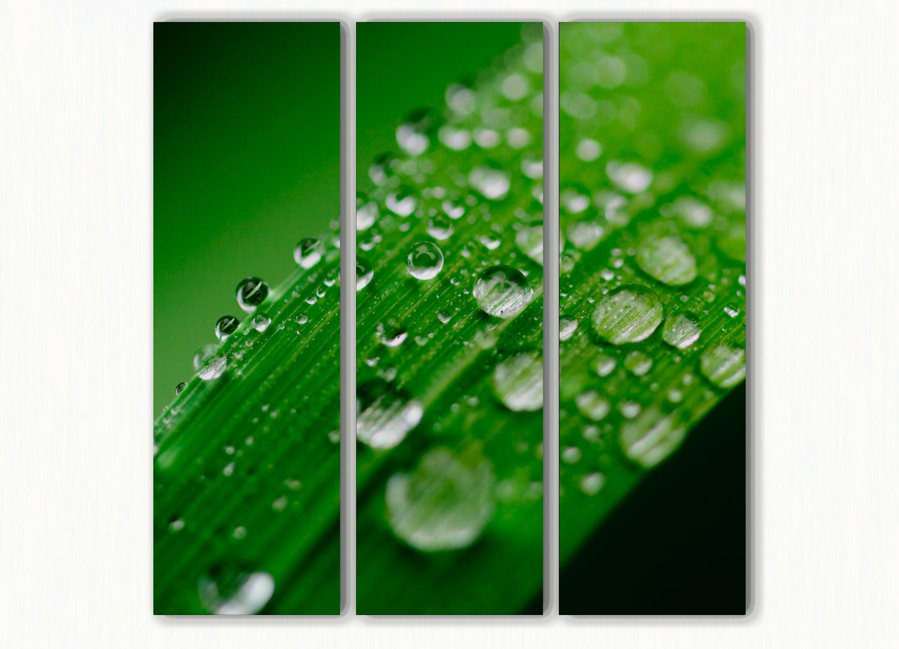 Alba - Akoestisch Drieluik - NoviSono