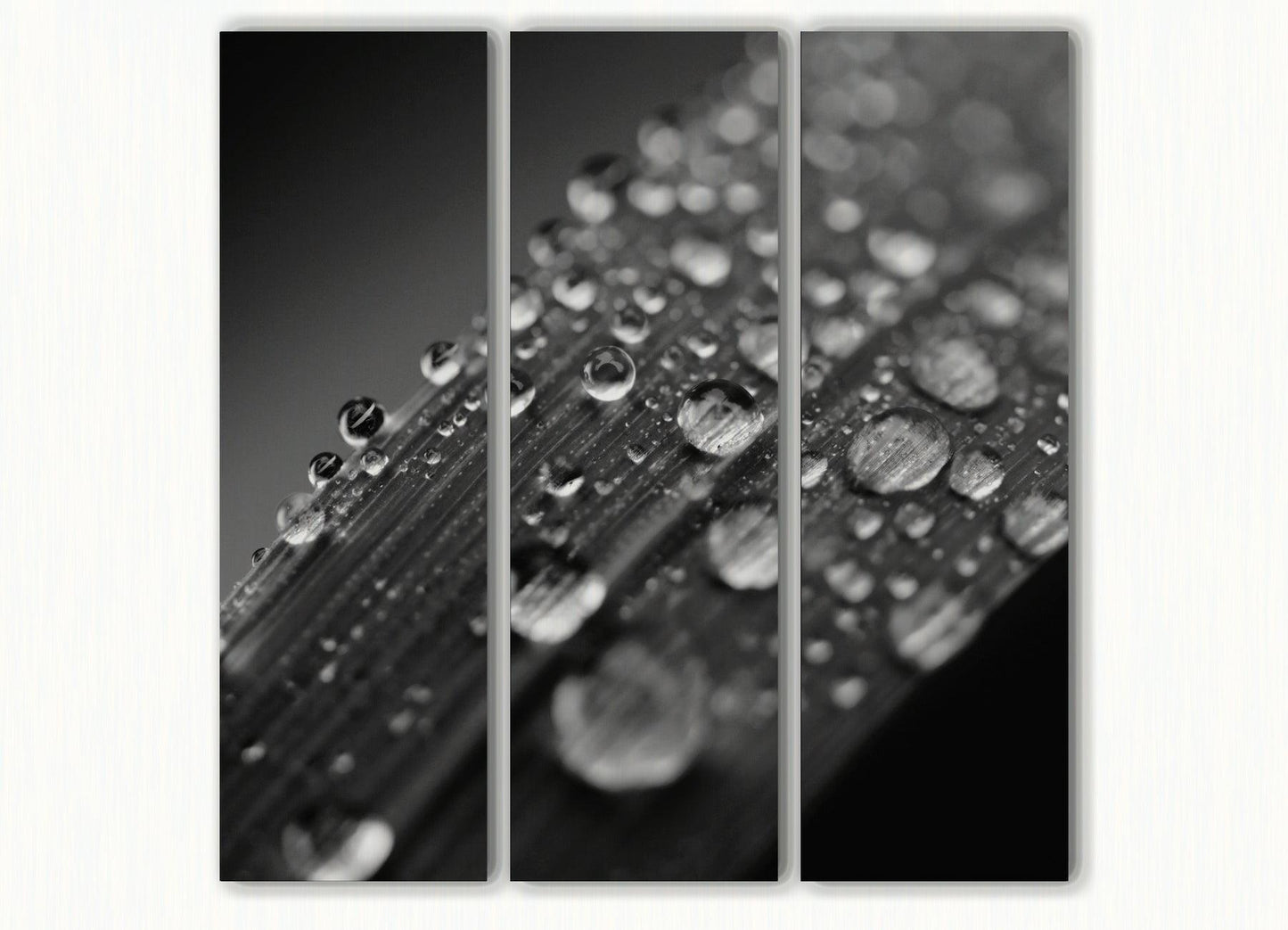 Alba - Akoestisch Drieluik - NoviSono